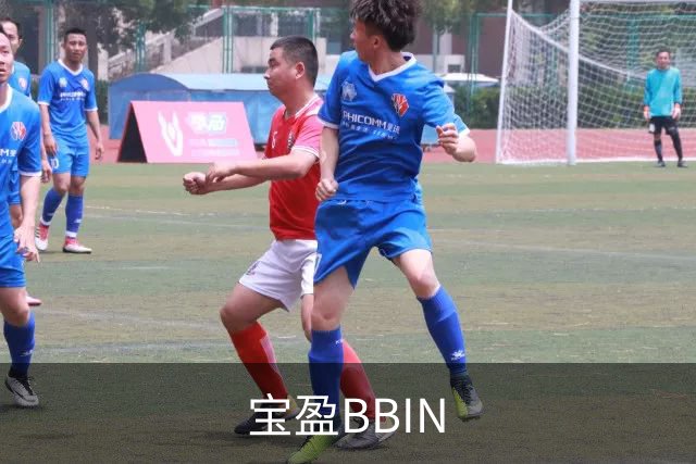 宝盈BBIN 公司简介